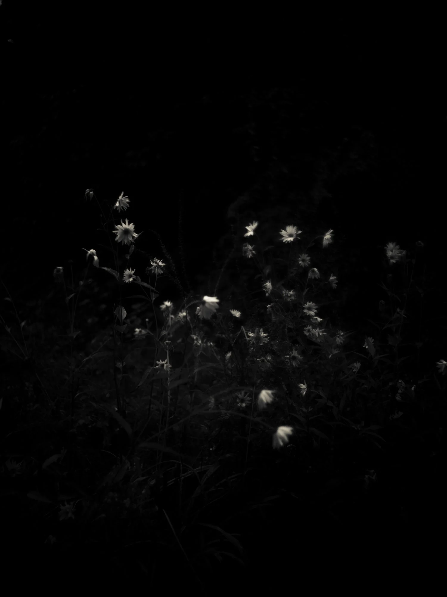 B2A34D64-A72F-4DB3-A758-C3AC1D966C74