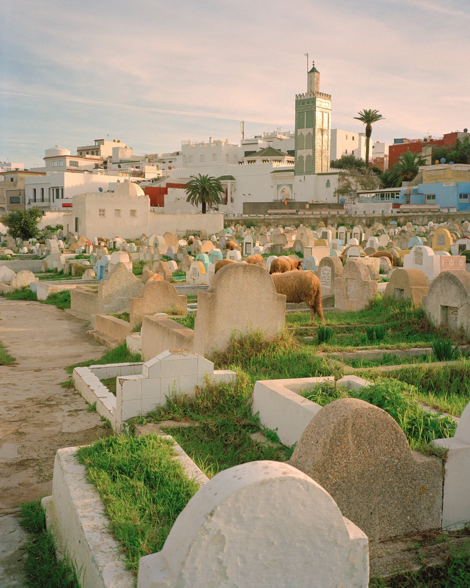 564D038B-E9A7-4FB2-9107-EF6232F3A8E8