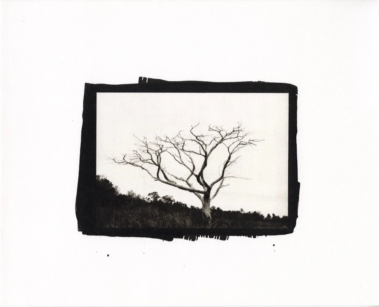 EBBF8790-C6B1-498F-9E60-A5F0ADD553B5