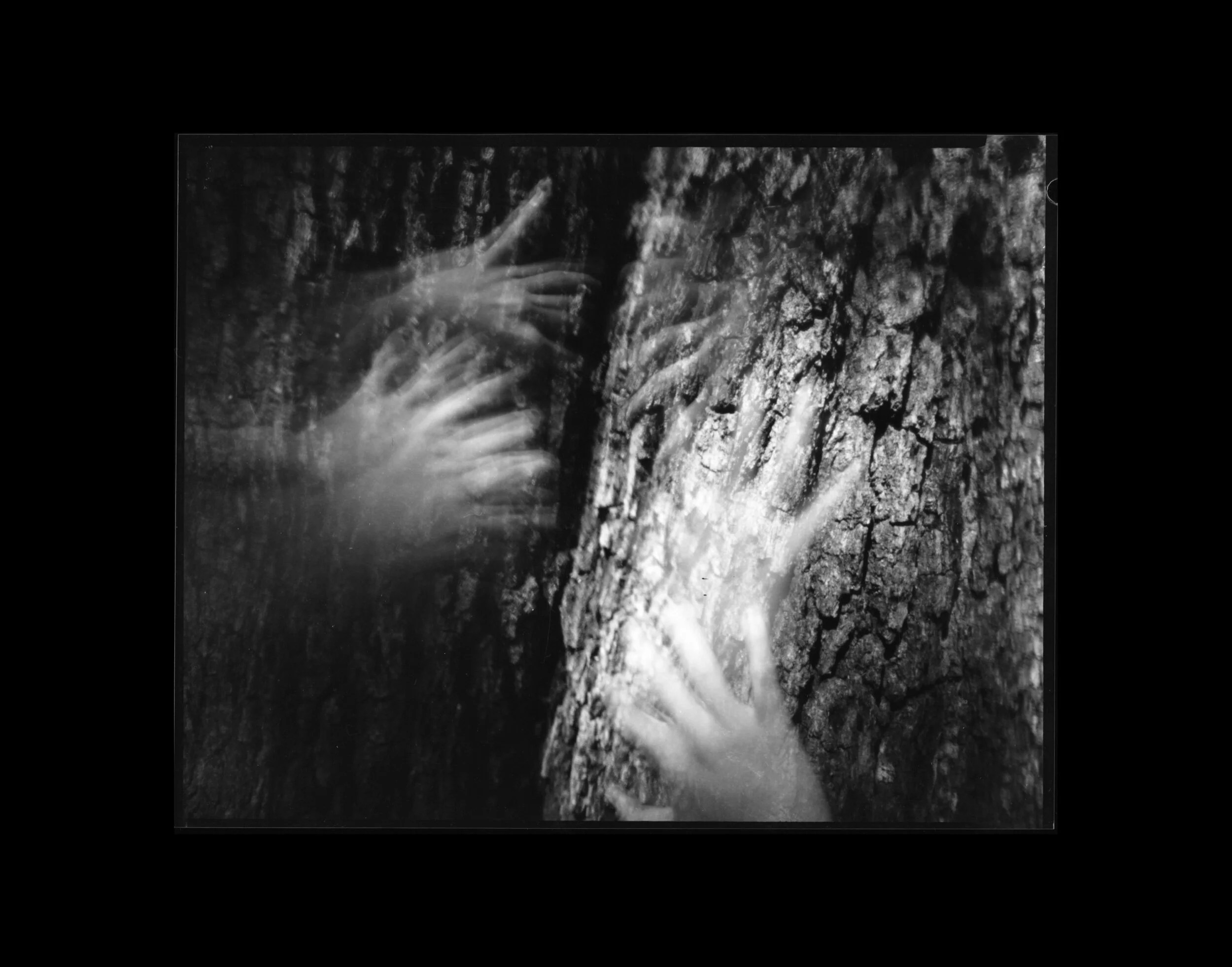 9D90630E-4142-4BBE-BED7-518DF2D145FB