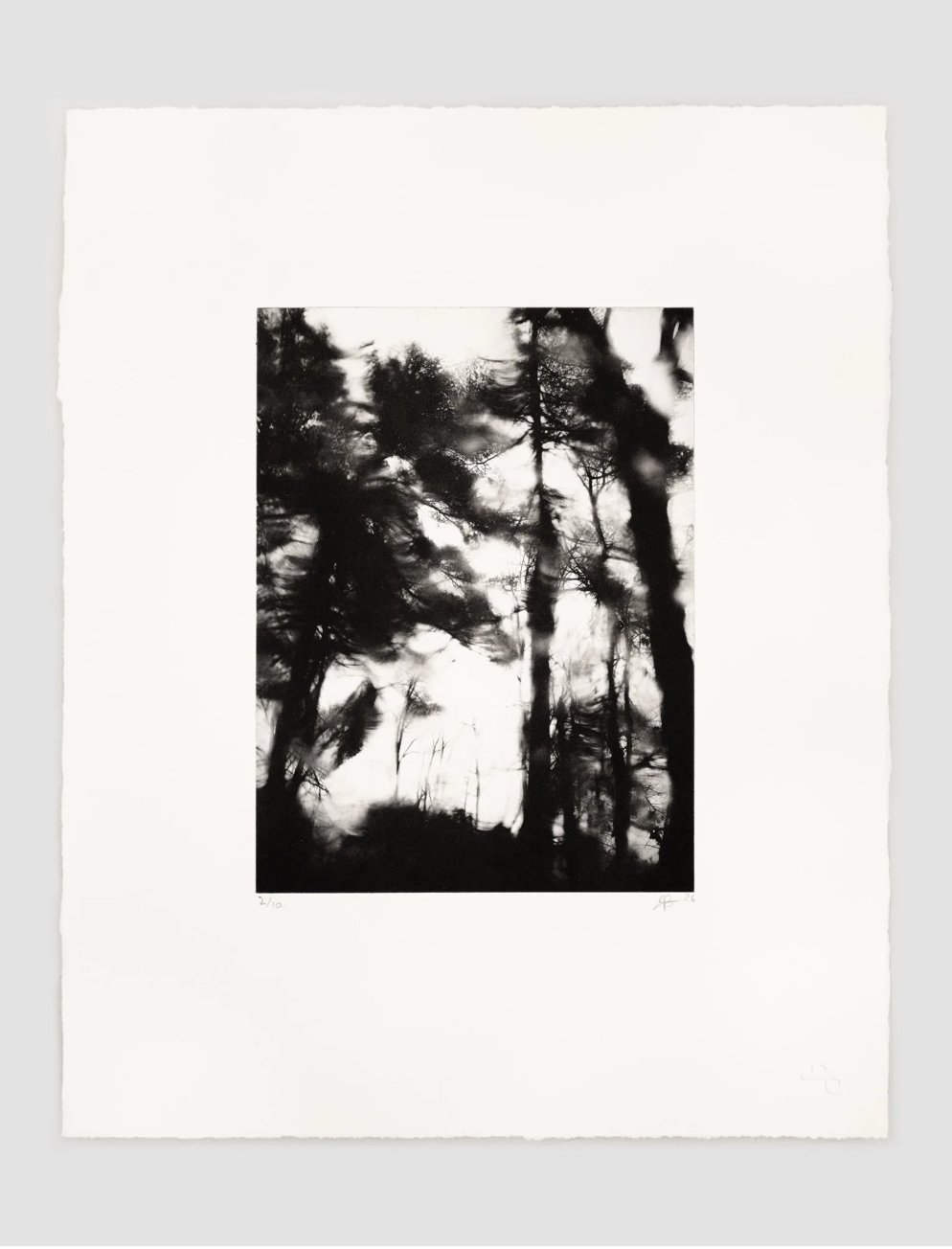 In the Shadow of this Mountain, One, 2026