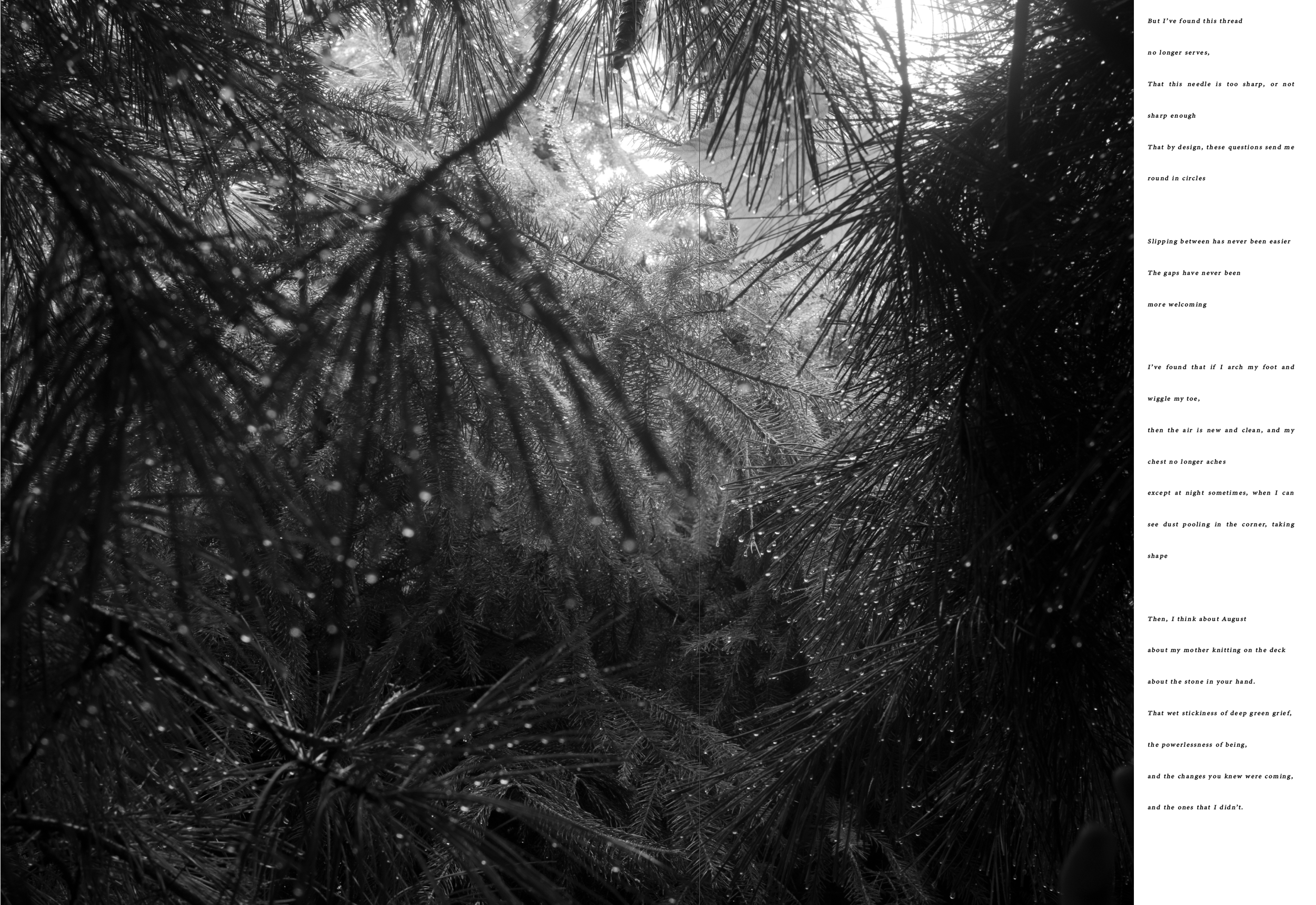 Screenshot 2026-02-19 at 11.51.31 PM.png