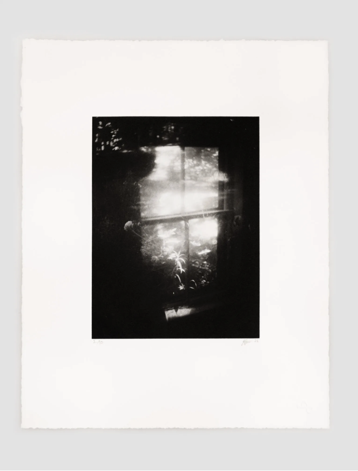 In the Shadow of this Mountain, Two, 2026