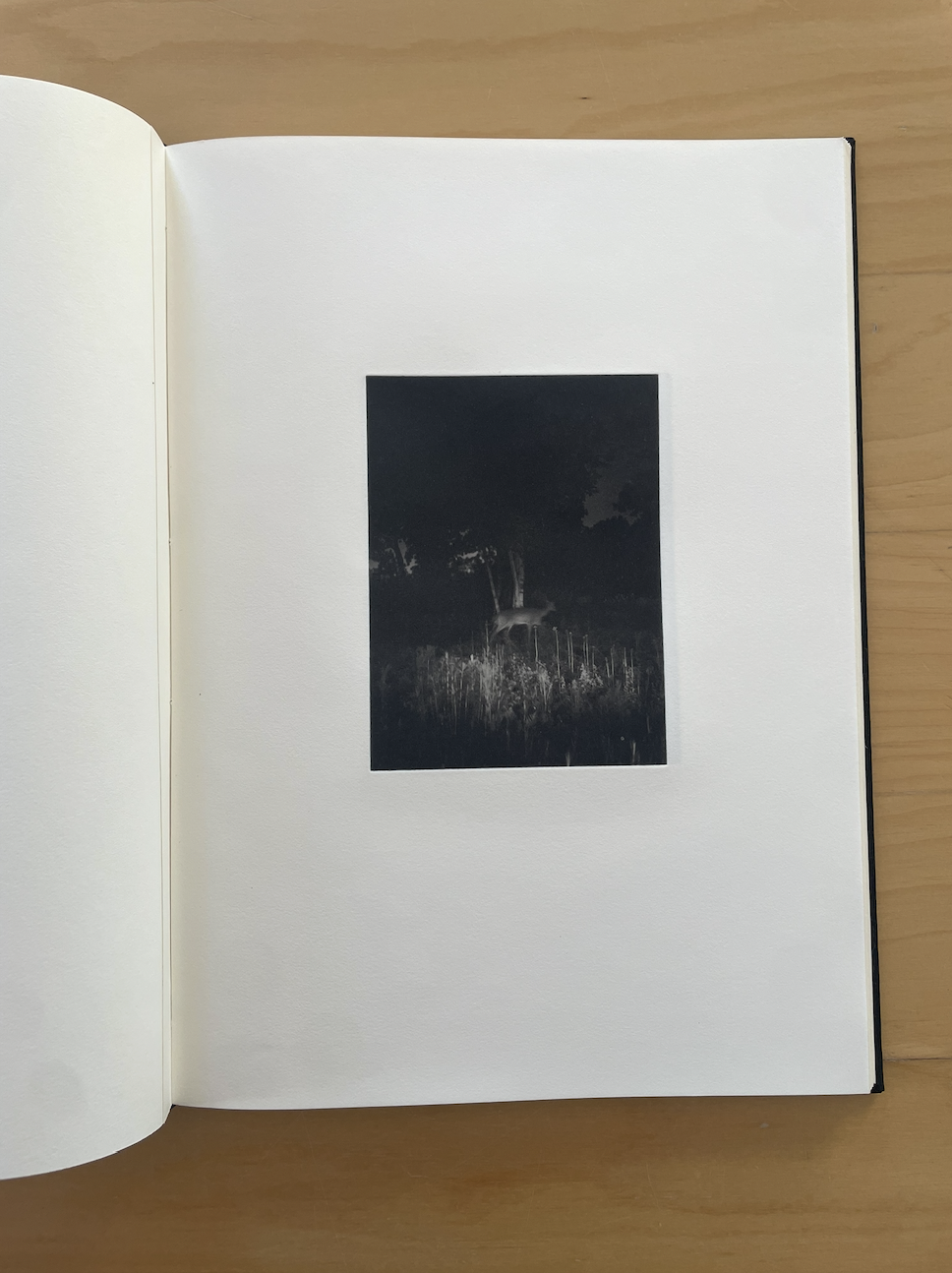 Screenshot 2025-10-19 at 7.12.51 PM.png