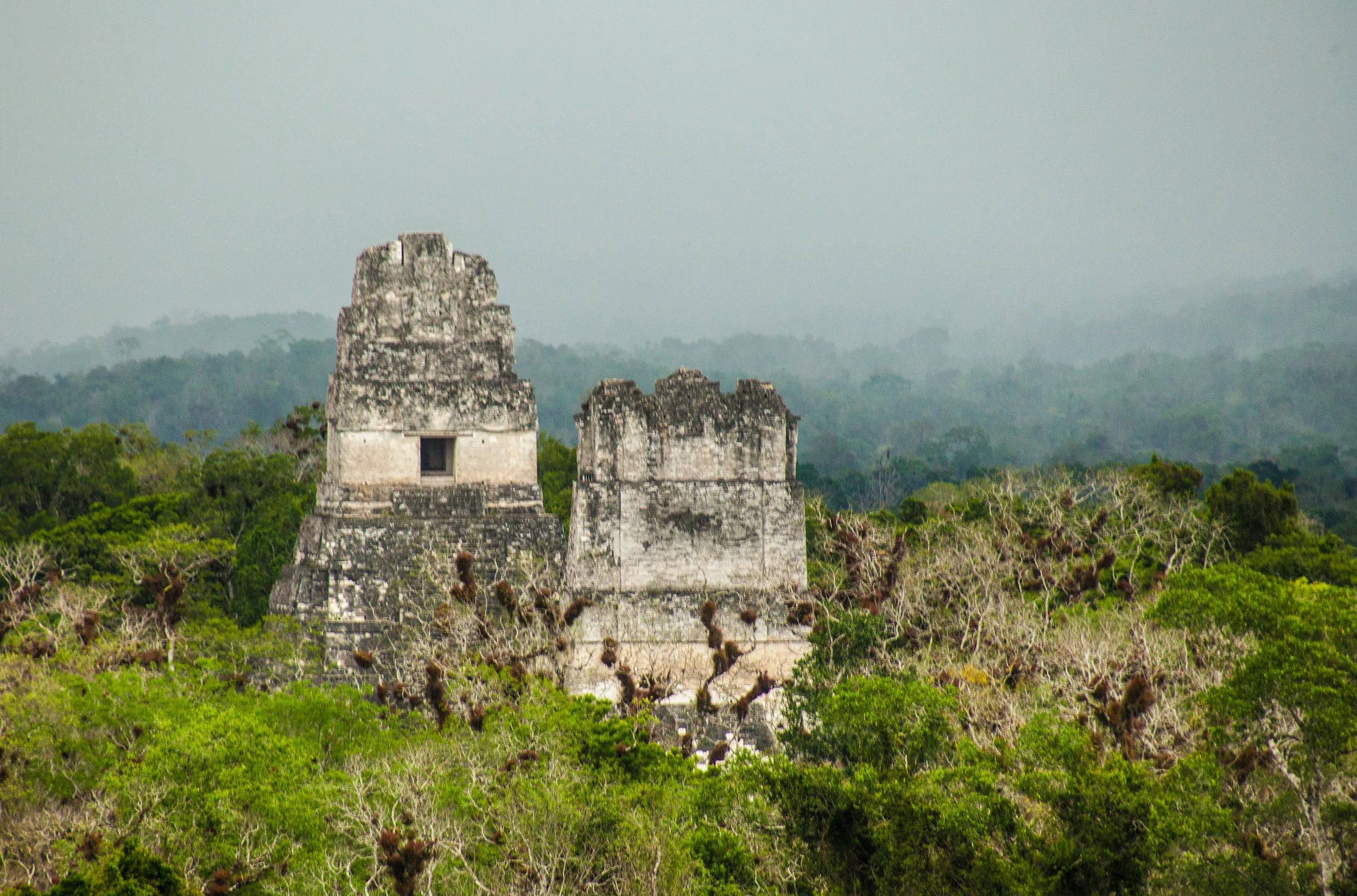 20130527_Tikal_5465.JPG