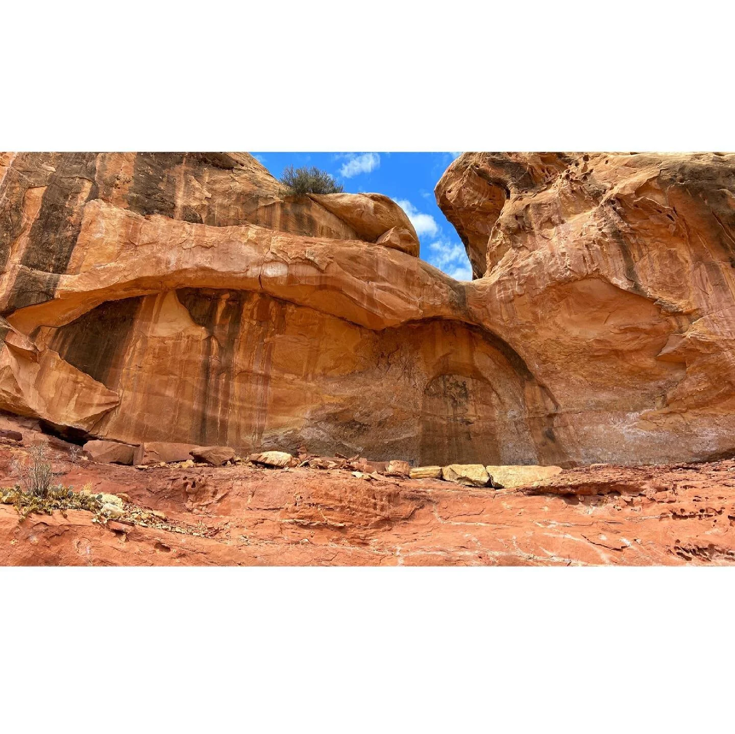 Mountain goat petroglyph.

#indiancreek #utah #canyonlands #needles #desertlife #touristing #travel #vanlife #ancientart #petroglyph #glyphpanel #nativeamerican #nativeart #naturalspaces #freshair #travelphotography #lookcloser #hidinginplainsight