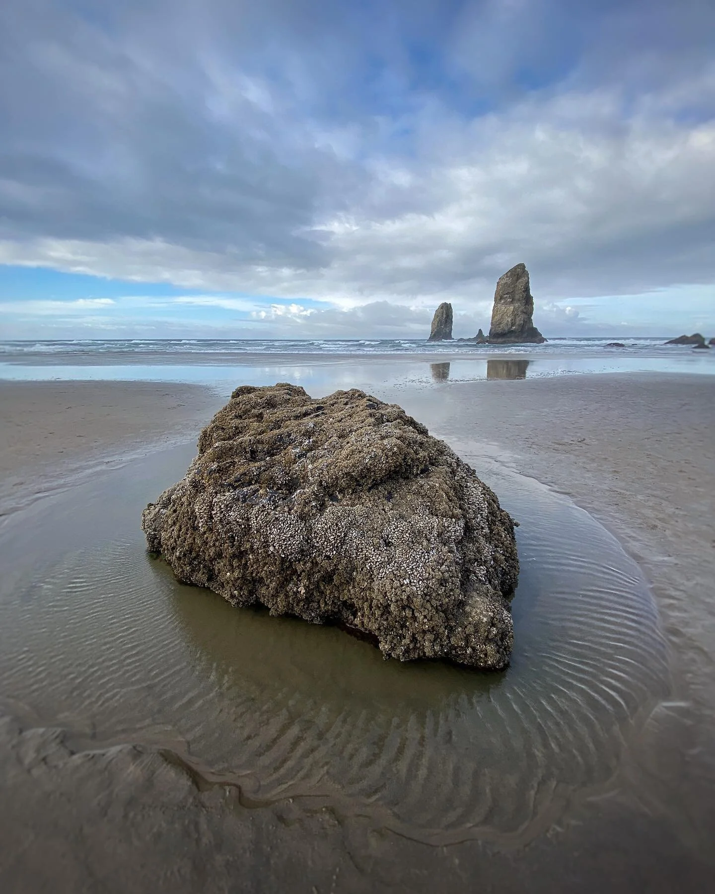 Barnacle rock.
.
.
.
.

#haystackrock #oregoncoast #gooniesneversaydie #vacationmode #exploring #touristing #phamjanskysonthego #friendcation #travelphotography #landscapephotography #beachphotography