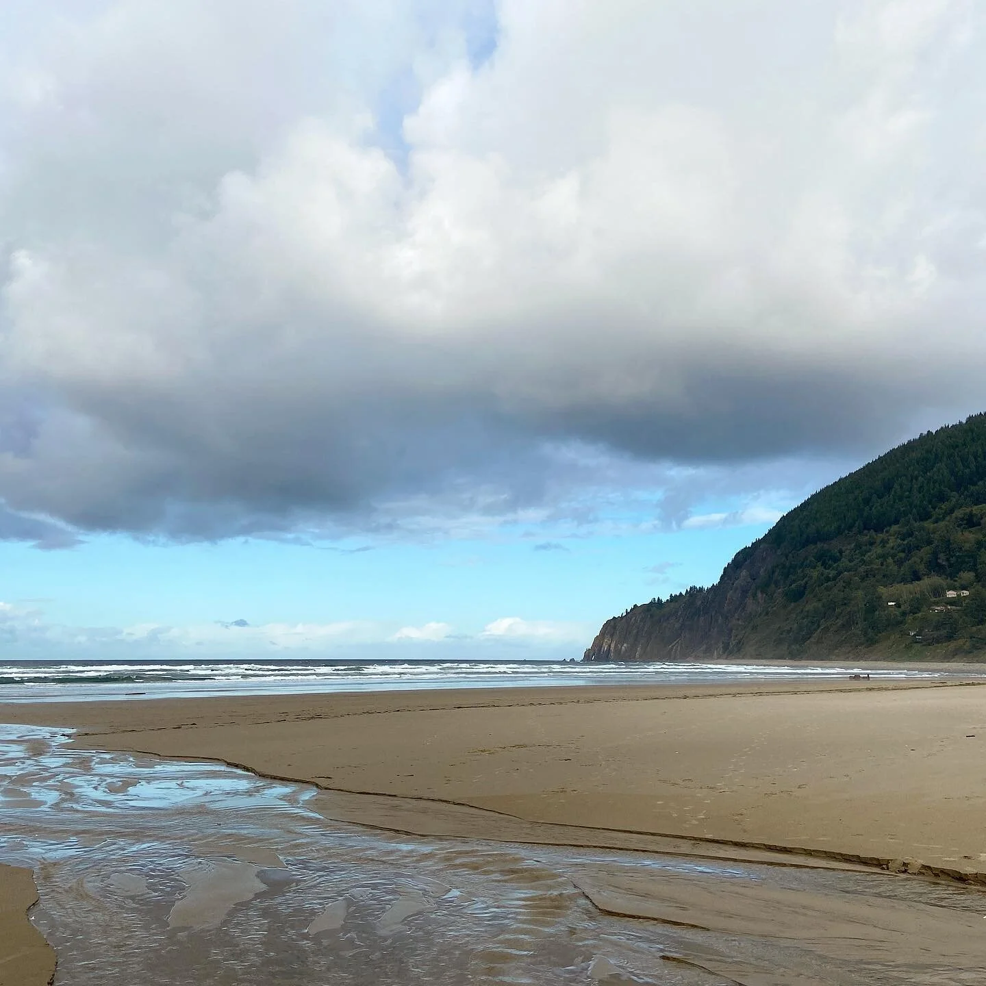 Manzanita Beach
.
.
.
.

#oregoncoast #manzanitabeach #ocean #beach #seashore #lowtide #saveouroceans #beachtime #beachwalk #naturewalk #optoutside #alwaysoutdoors #landscapephotography #friendcation2021 #phamjanskysonthego
