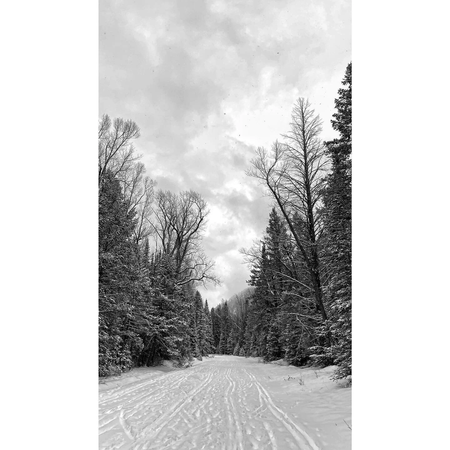 #snowyhike