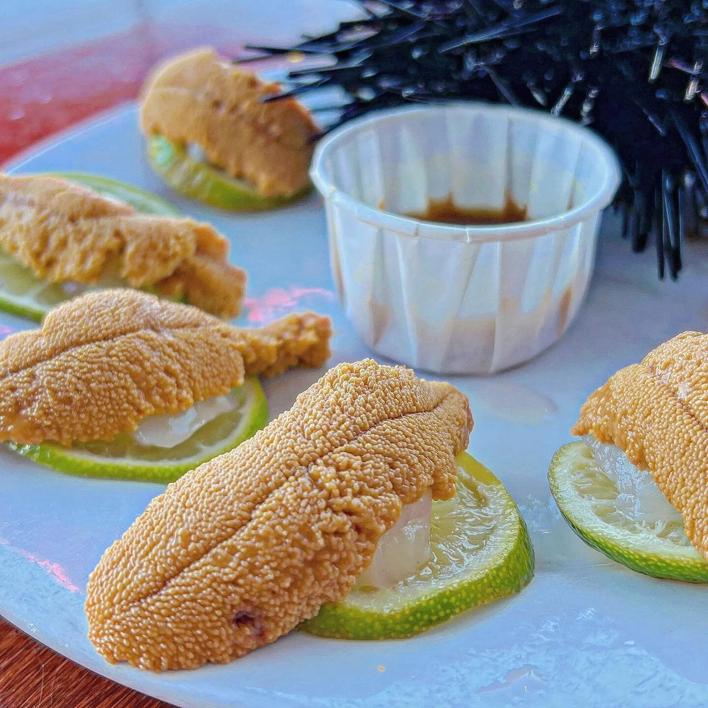 UNIbelievable. 
.
.
.
#seaurchin #santabarbarauni #seafood #stearnswharf #seafoodlover #beachtime #santabarbara #eatalltheseacreatures #eatersb #jphamfoodguide