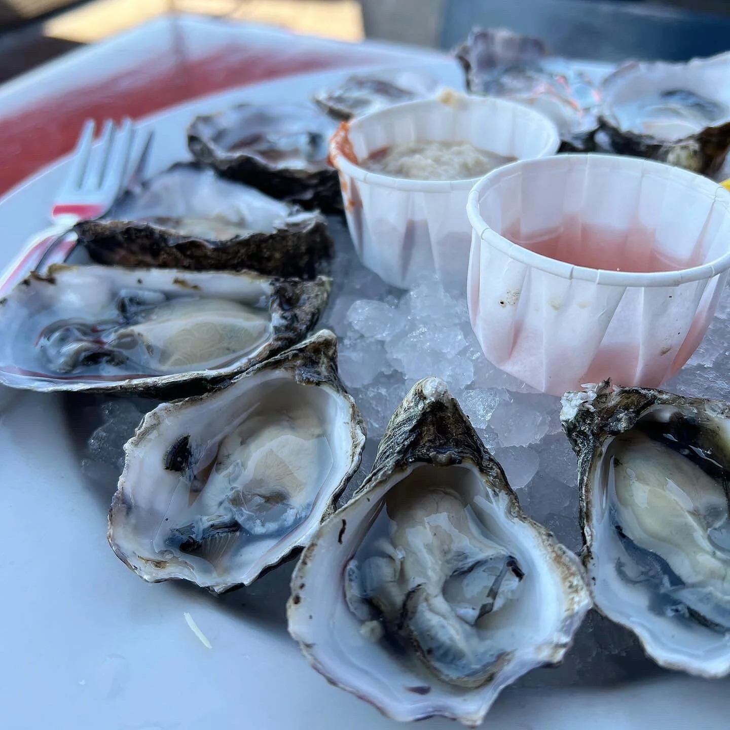 Blue Point &amp; Kumiai Oysters. 
.
.
.
.
#oysters #freshoysters #rawoysters #seafood #stearnswharf #seafoodlover #beachtime #santabarbara #eatalltheseacreatures #eatersb #jphamfoodguide