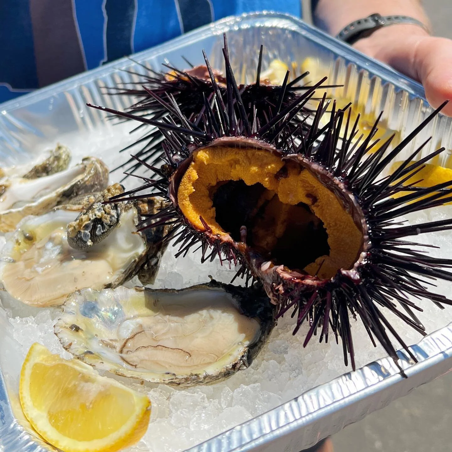 Testing the limits of how much uni we can eat while in Santa Barbara!
.
.
.
.
.
.
#seaurchin #santabarbarauni #seafood #stearnswharf #seafoodlover #beachtime #santabarbara #eatalltheseacreatures #eatersb #jphamfoodguide
