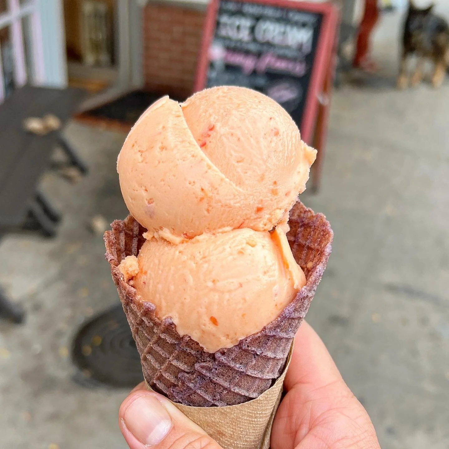 How lucky am I to live in a place where this exists?! Palisade peach sorbet + blue corn waffle cone = 🤩🍑🍦
.
.
.
.
#icecream #eatlocal #dessert #durangoeater #palisadepeach #sorbet #bluecorn #wafflecone #eatercolorado #jphamfoodguide