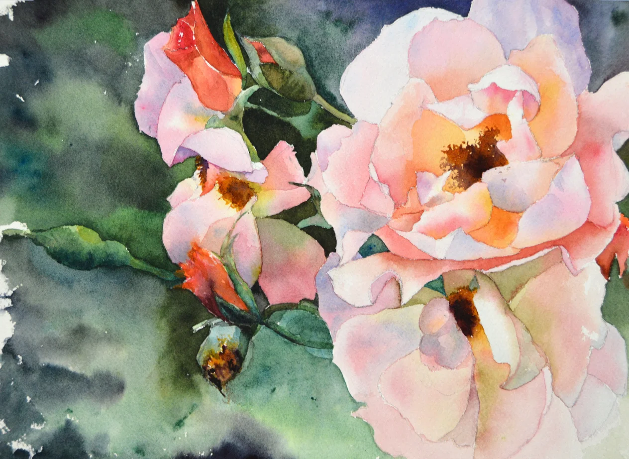wild roses 9x12 $500