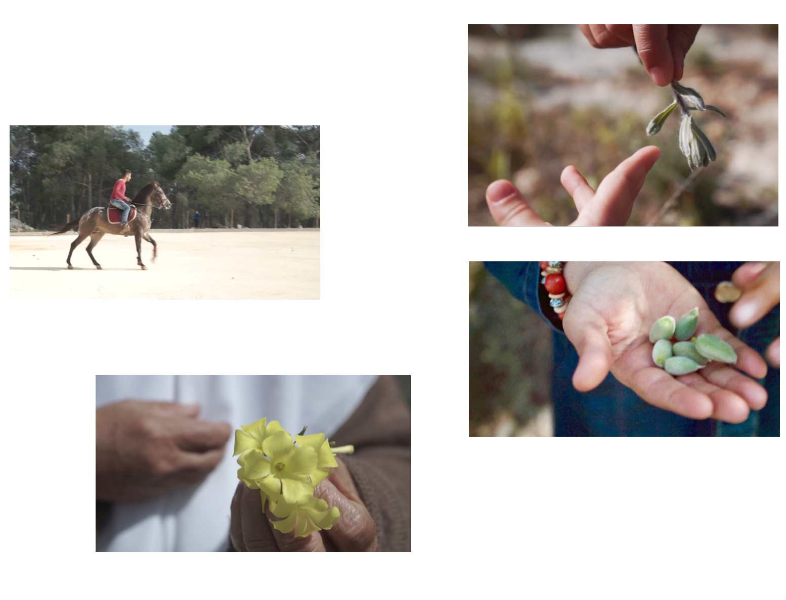 Screen Shot 2018-01-17 at 18.18.23.png