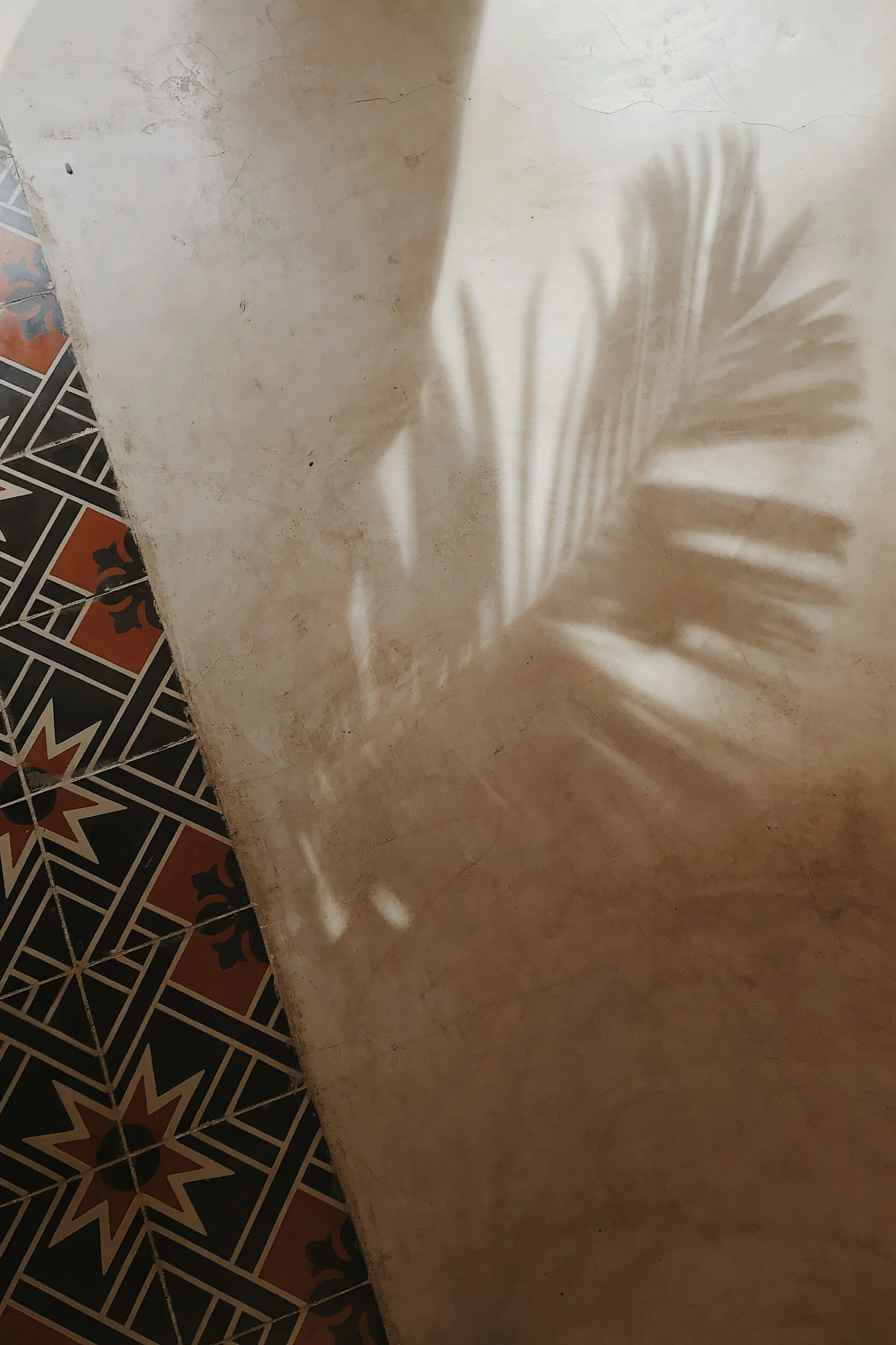palm leaf shadow in tulum mexico