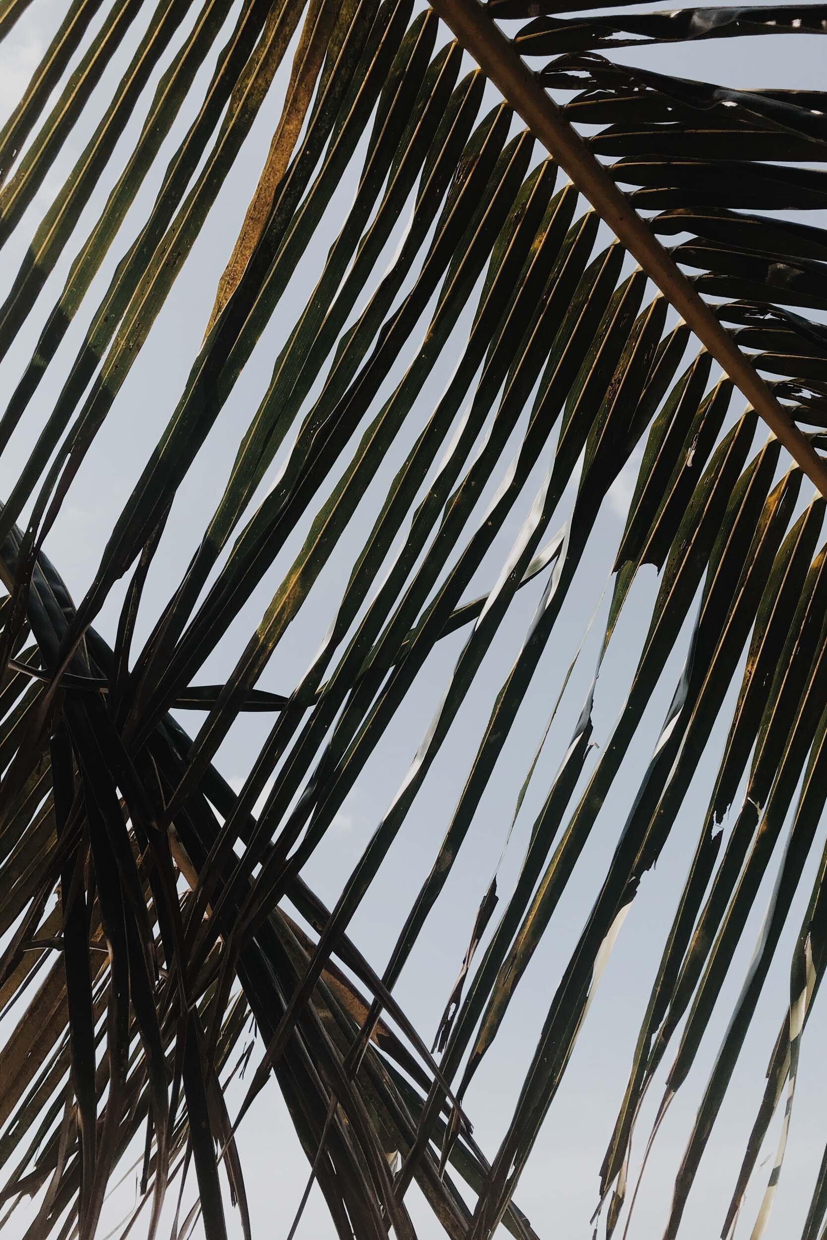 thailand koh yao noi