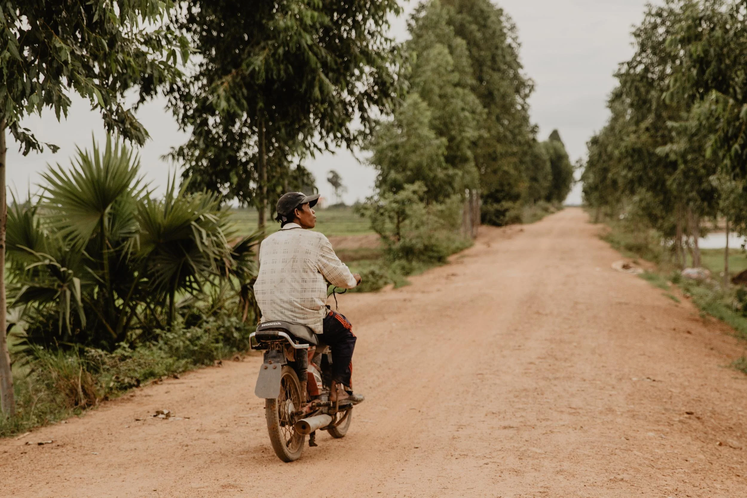 moto ride cambodia rice fields