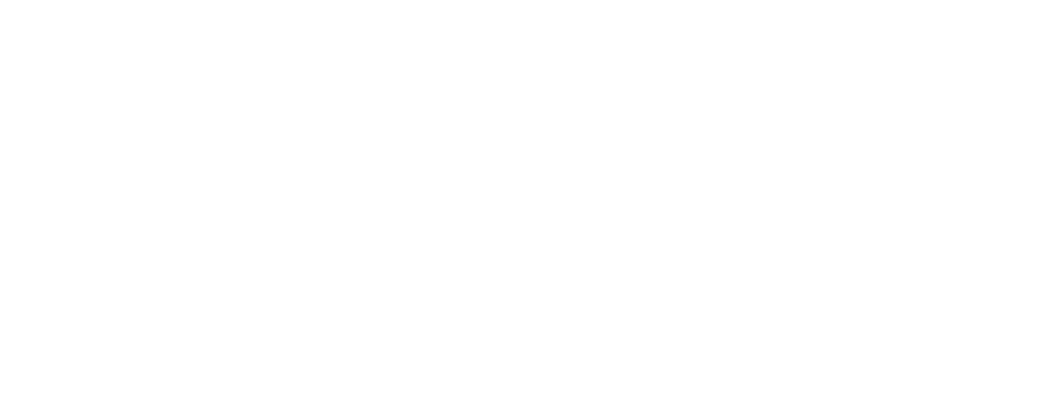 Electric Graphics_Electric Logo_WHITE.png