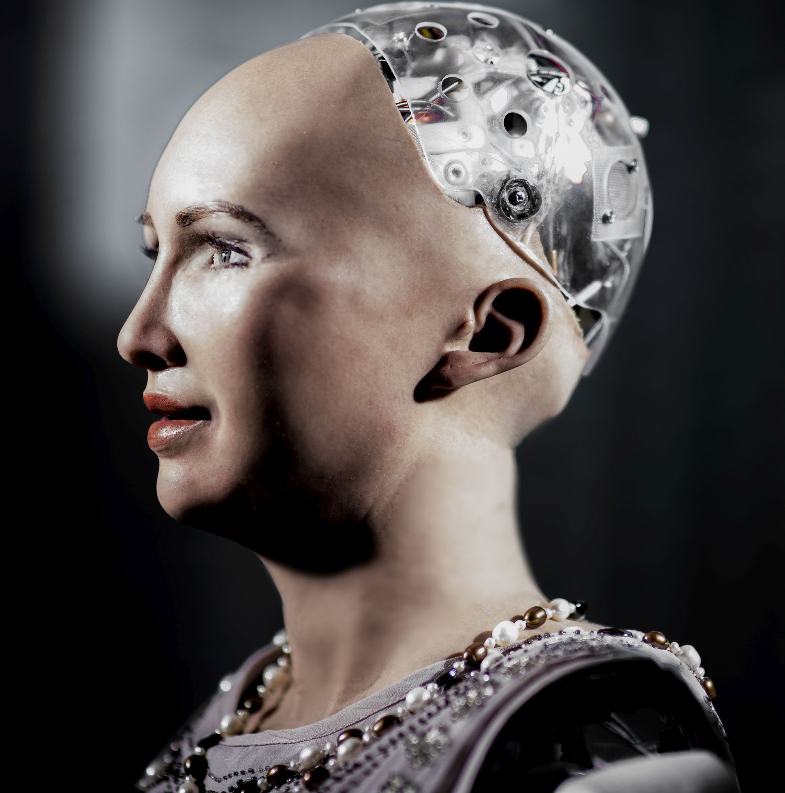 Sophia, the First Humanoid Celebrity