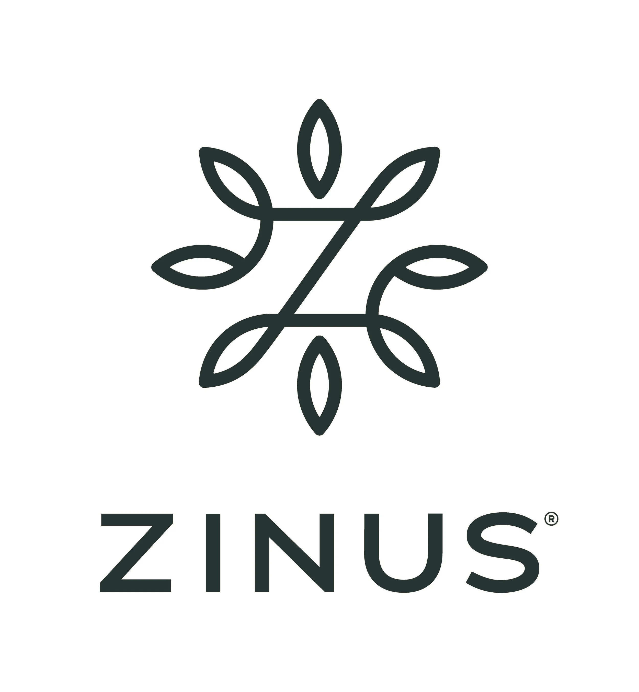 Zinus.jpg