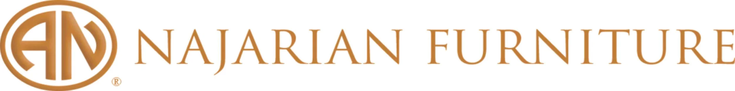 Najarian logo.jpg