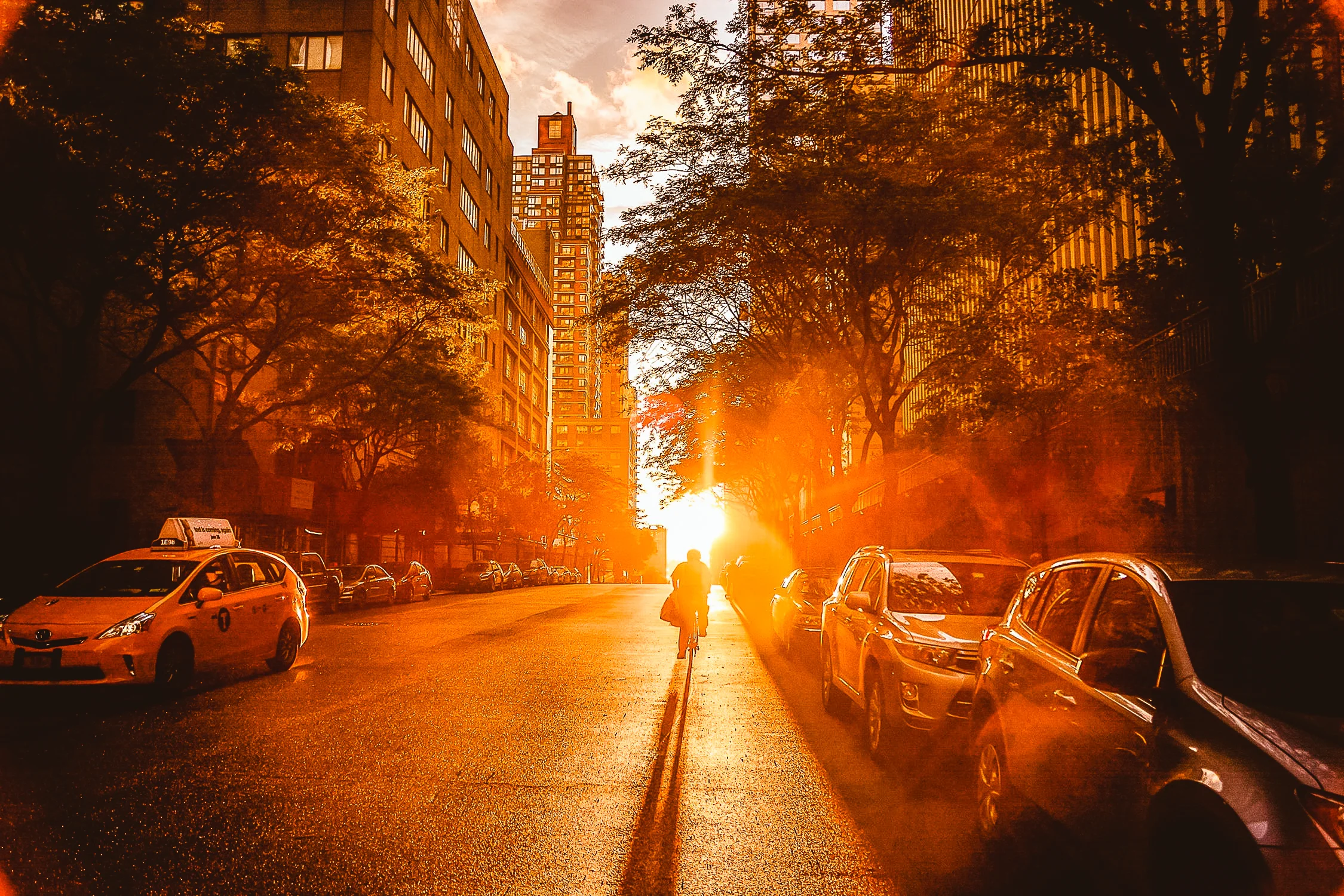 Come Scattare le Migliori Foto con un iPhone