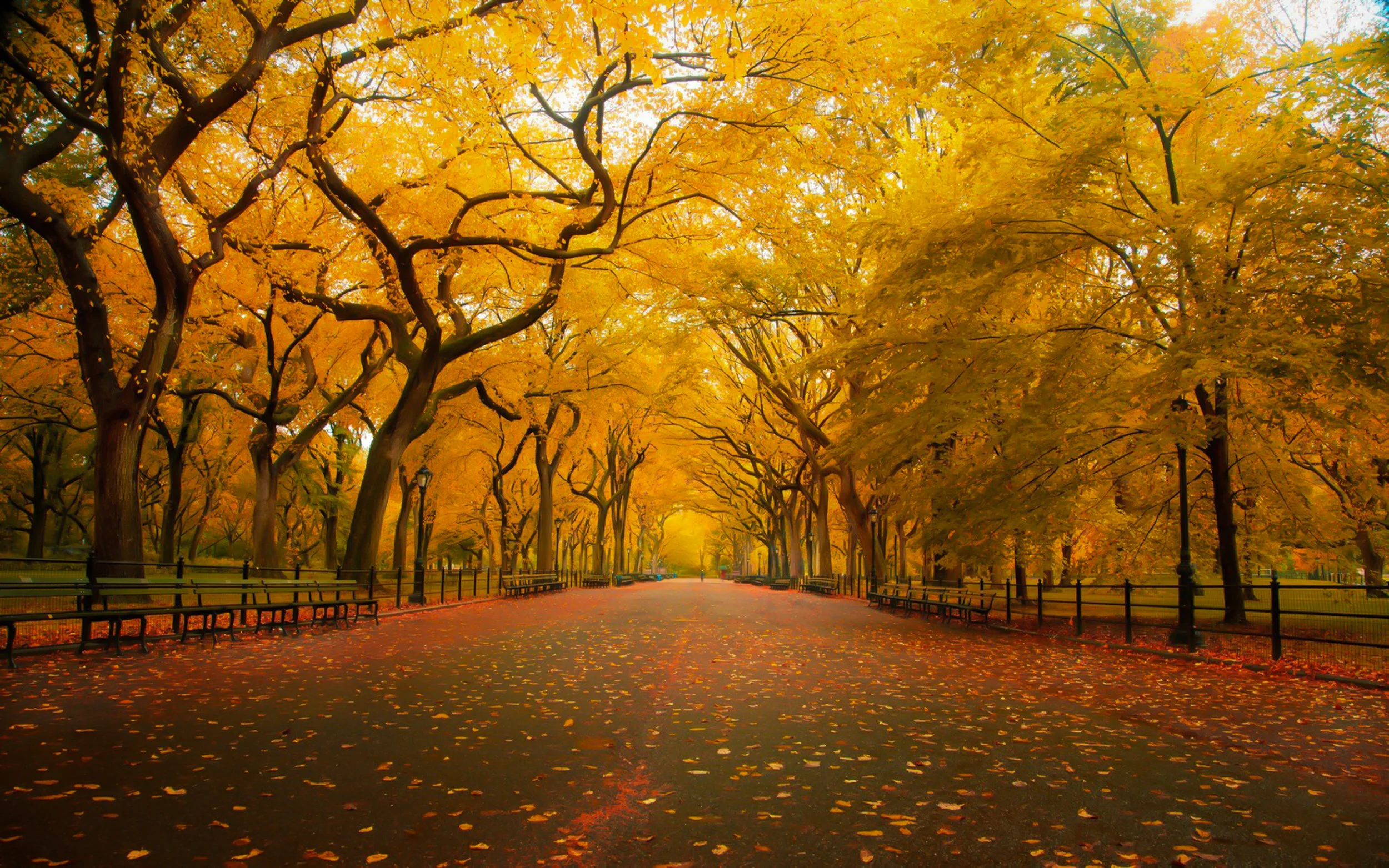 I segreti del cuore di New York
