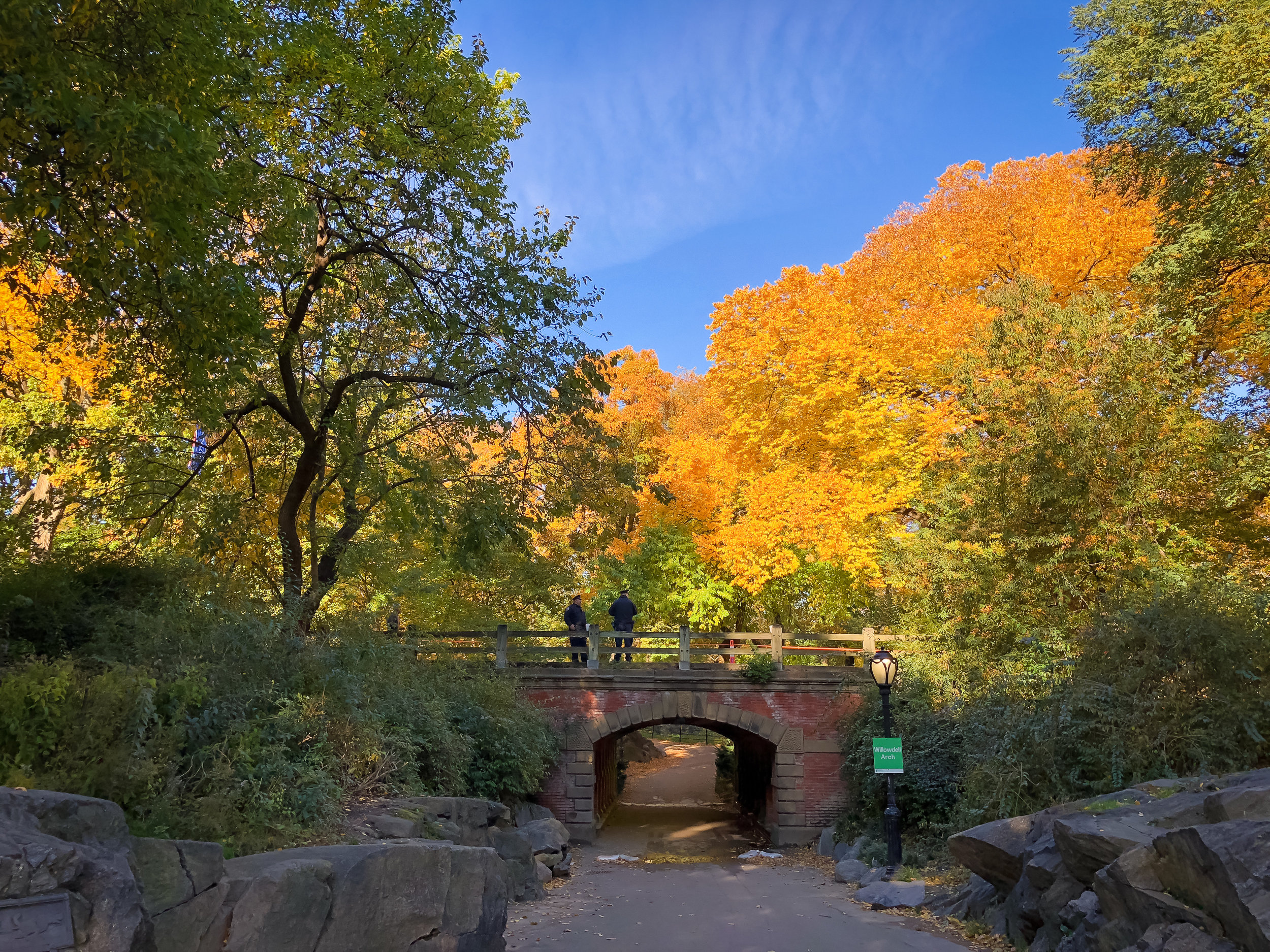 AUTUNNO A NEW YORK CITY: DOMENICA MATTINA, 4 NOVEMBRE 2018, CENTRAL PARK. FOTO: @LUCAS COMPAN