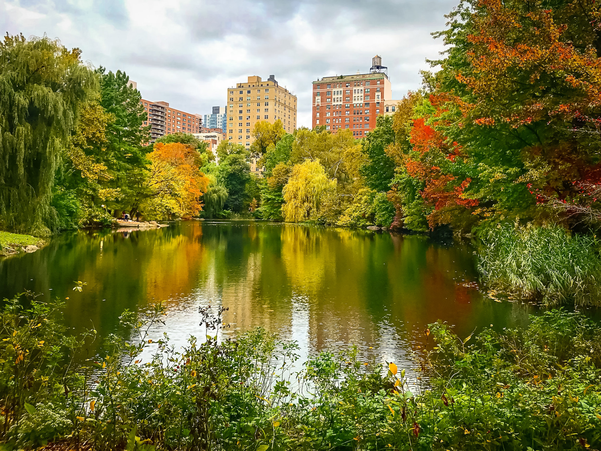 AUTUNNO A NEW YORK CITY: DOMENICA MATTINA, 4 NOVEMBRE 2018, CENTRAL PARK. FOTO: @LUCAS COMPAN