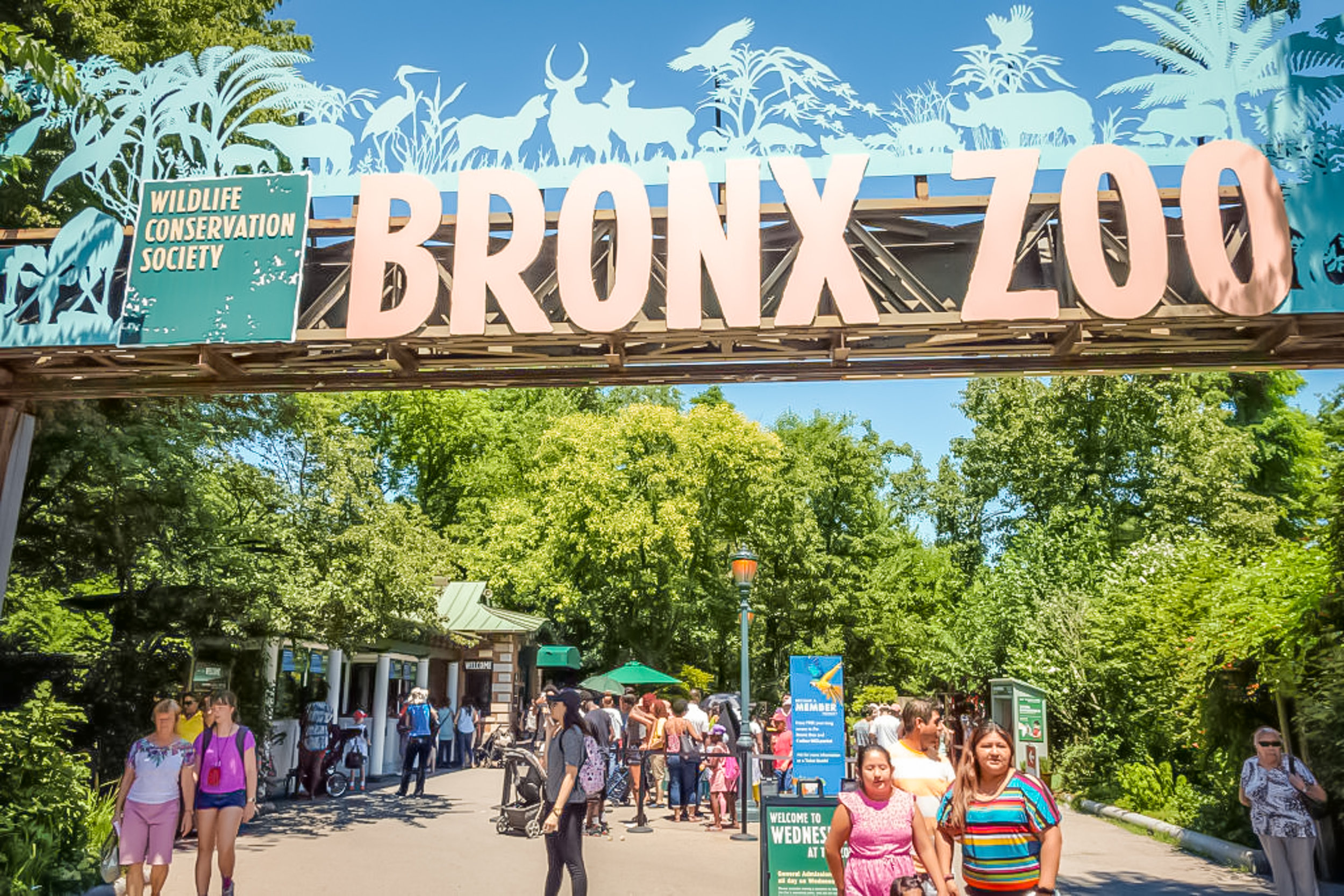 15 New York Con Bambini Bronx Zoo — Piccola New Yorker Special Trips