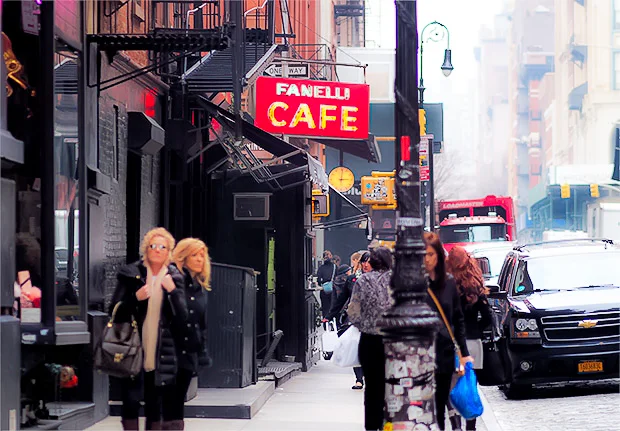 food-drink-tours-in-new-york-fanellis-3.jpg