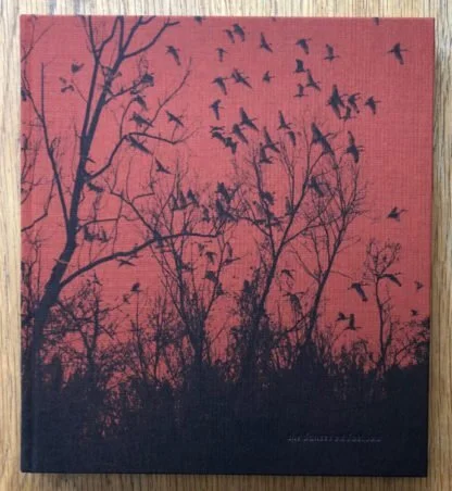 Cloth cover of She Dances on Jackson