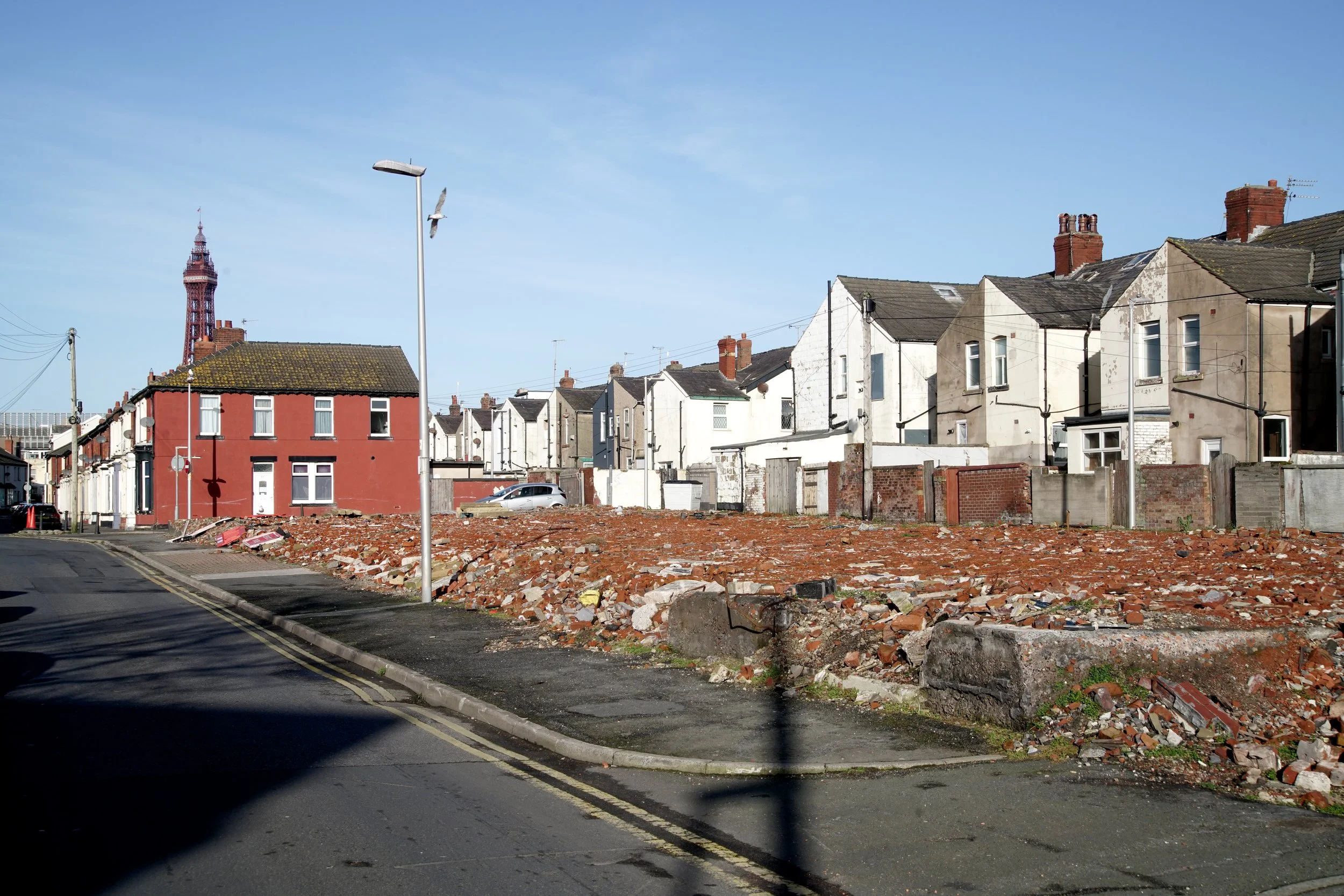 Regeneration-10.JPG