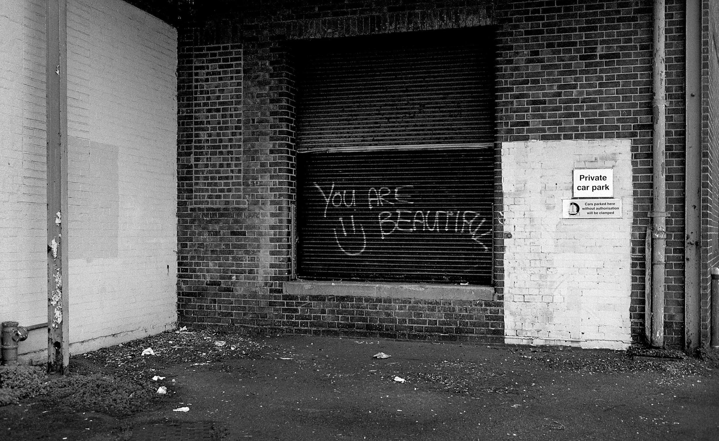 Traces and Signs-13.JPG