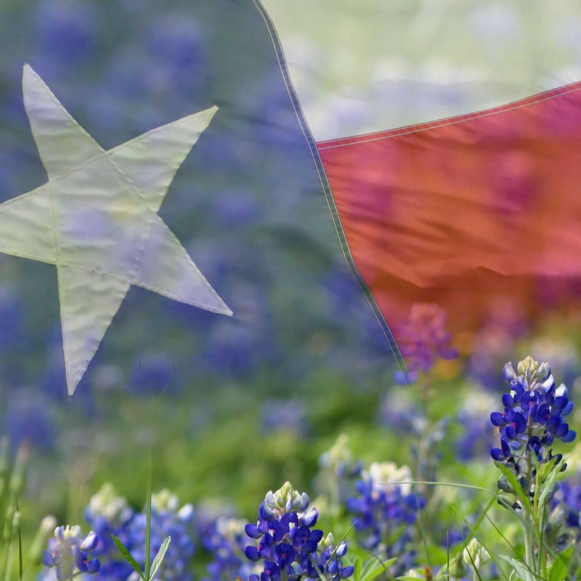 Your paragraph text.JPEG