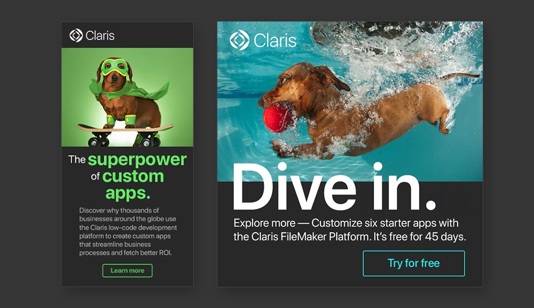 Claris Brand Awareness Campaign — Dogs