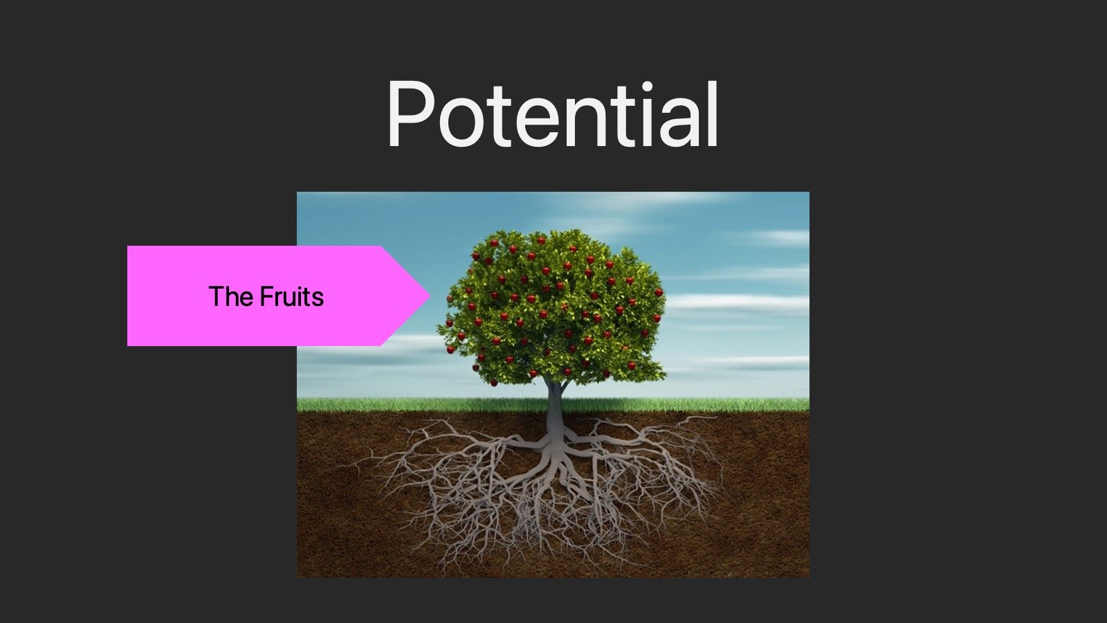 Slide14.jpeg