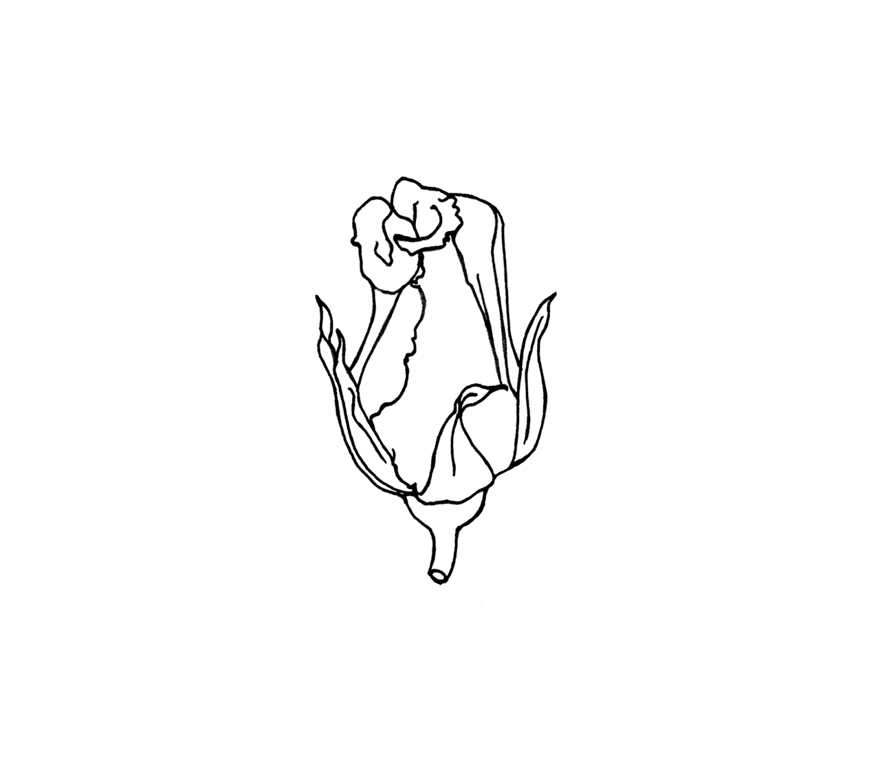 tumblr_nwooamYmD51qz7t0xo1_1280.gif
