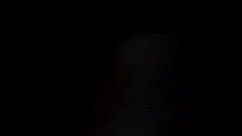 giphy-1.gif