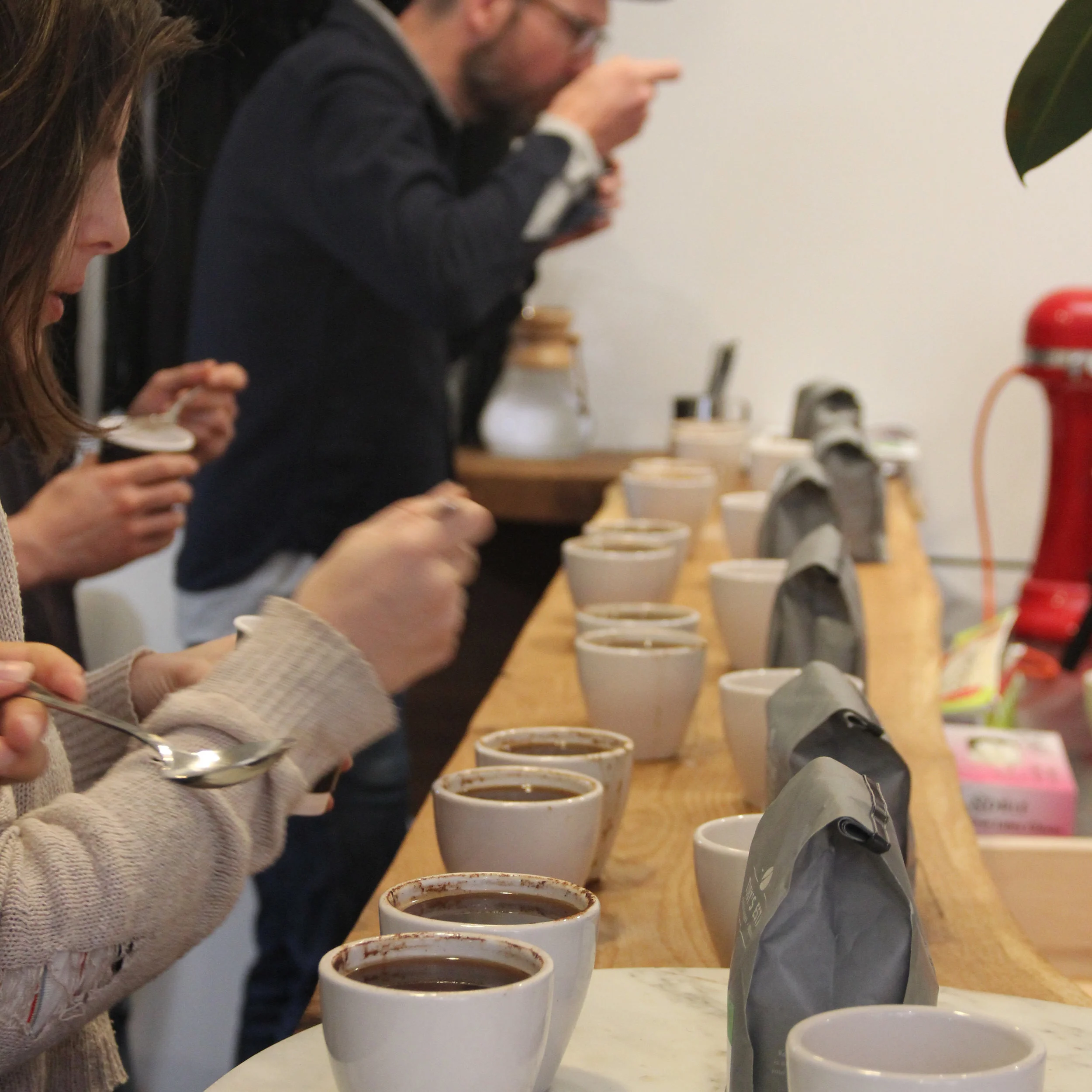Coffee Cupping For Everyone - 10/25/19  11am - 12noon