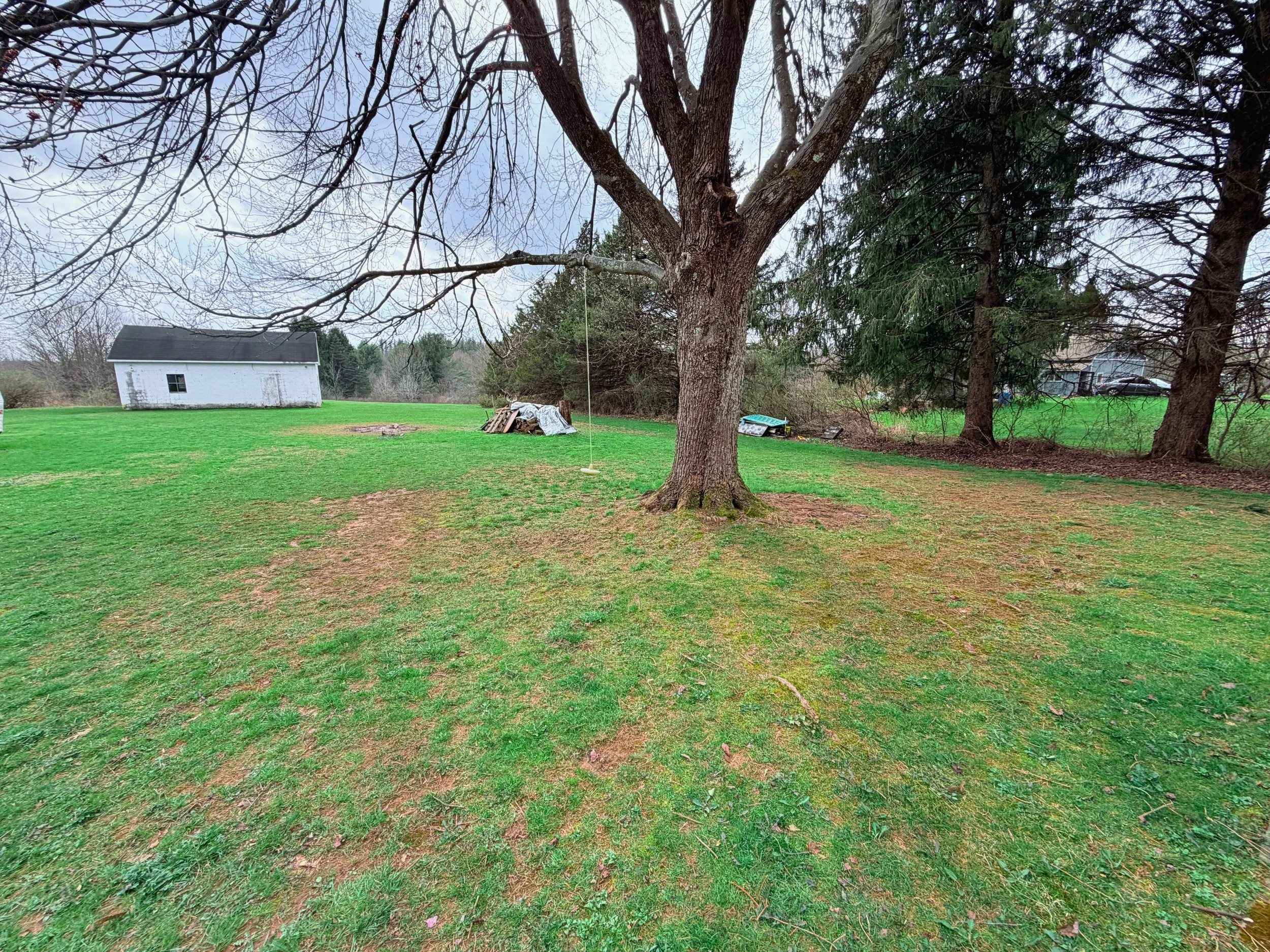 IMG_0815 - Edited.jpg