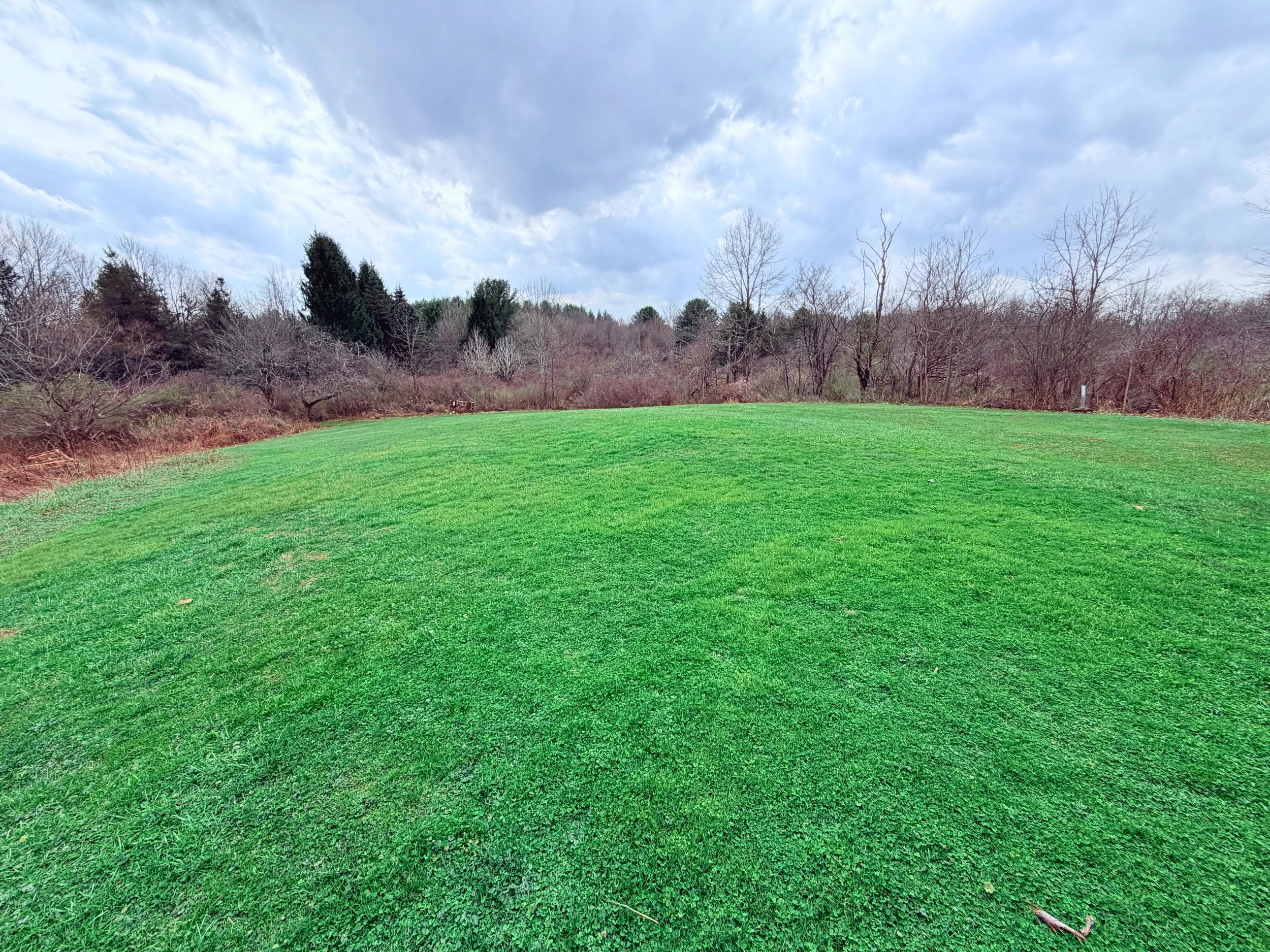 IMG_0818 - Edited.jpg