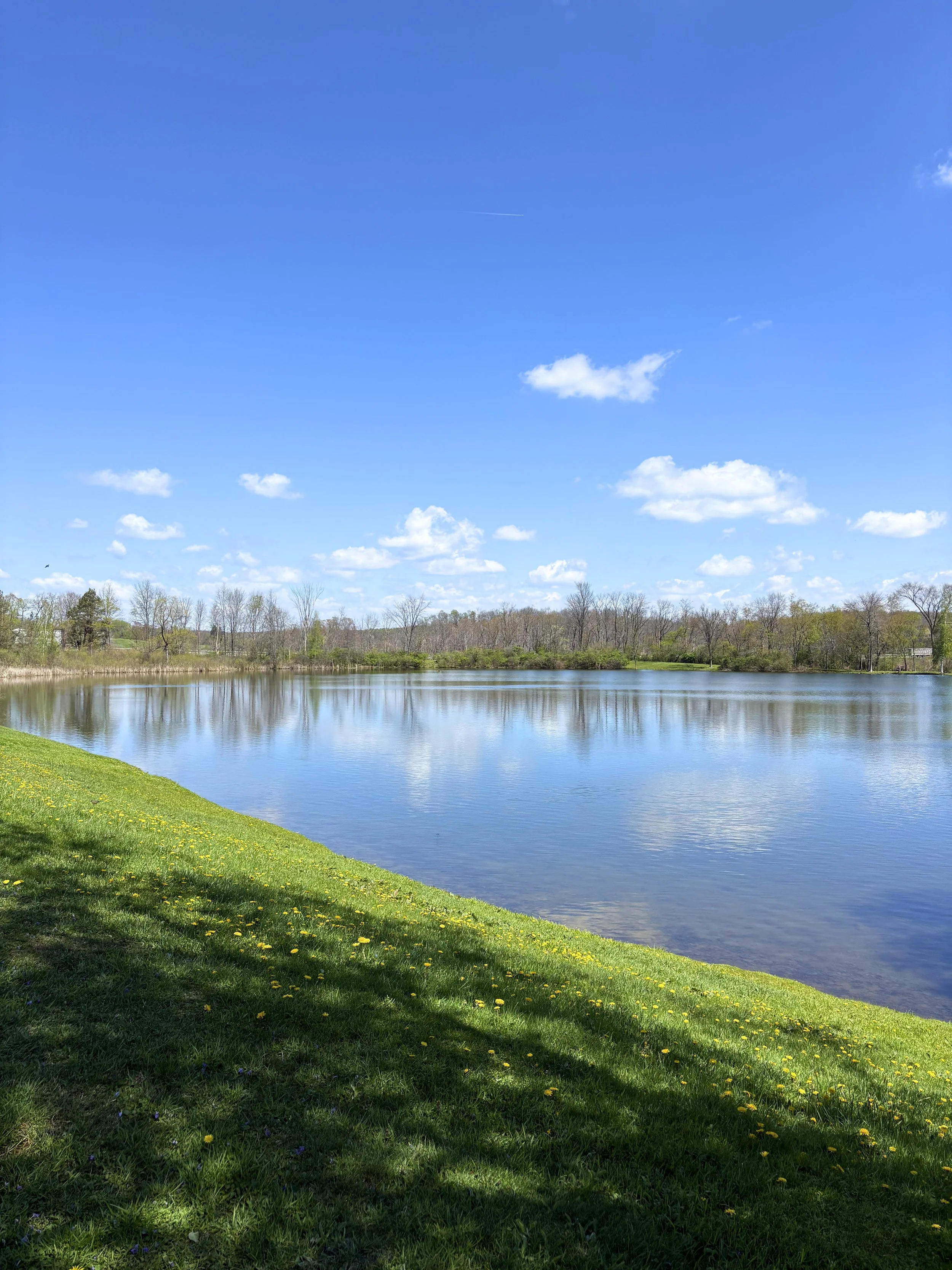 IMG_4642 - Edited.jpg