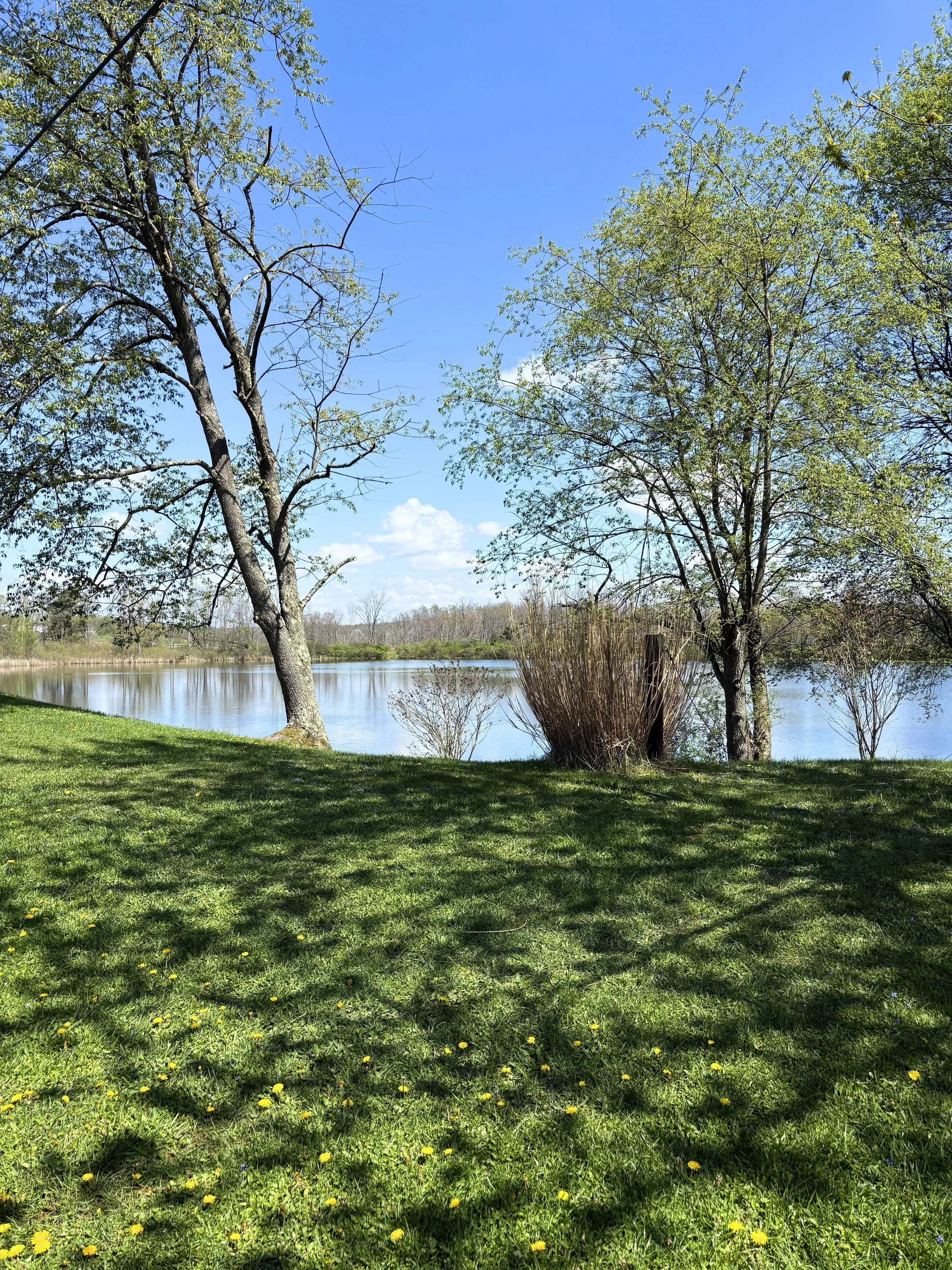 IMG_4641 - Edited.jpg