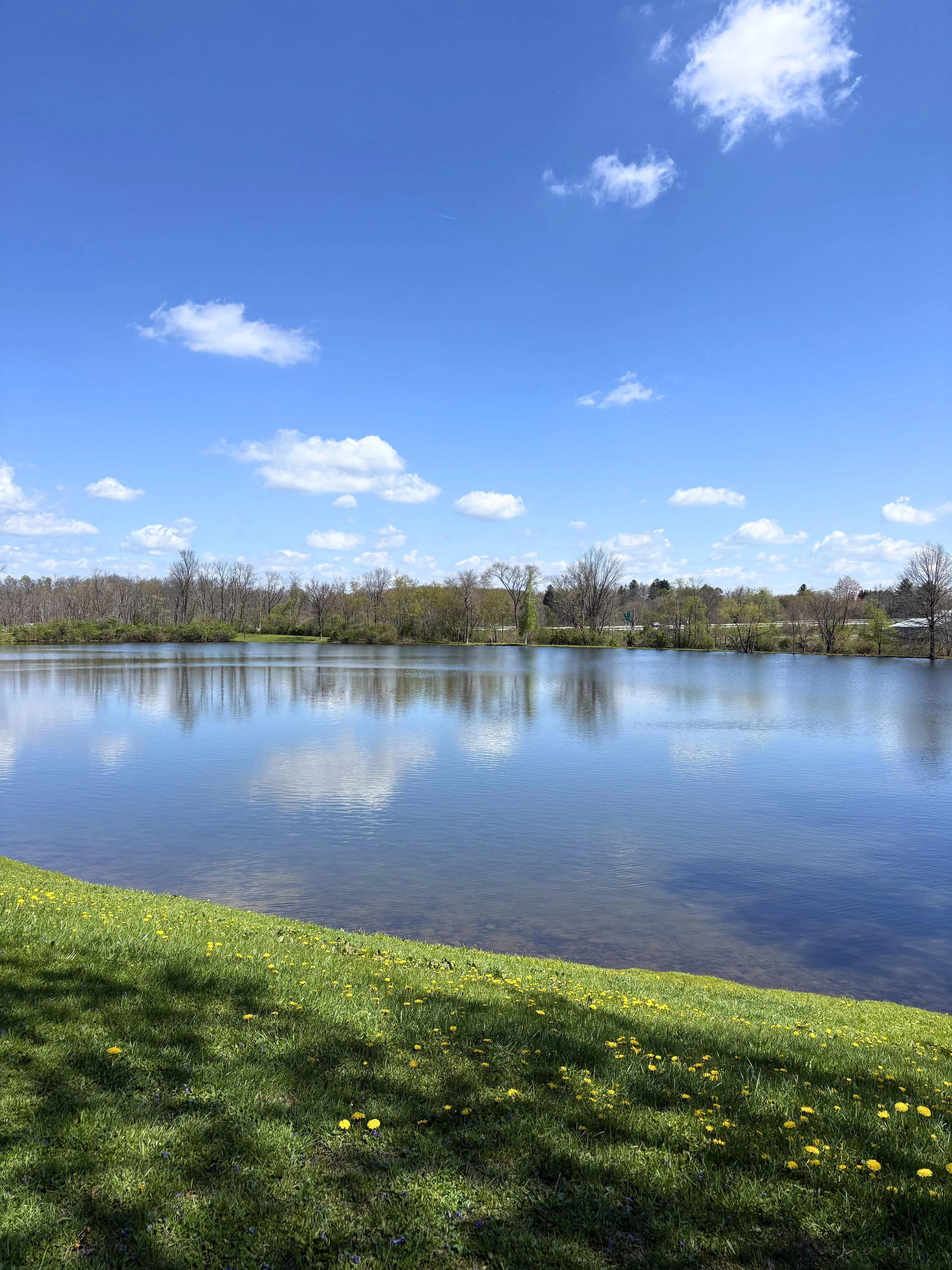 IMG_4646 - Edited.jpg