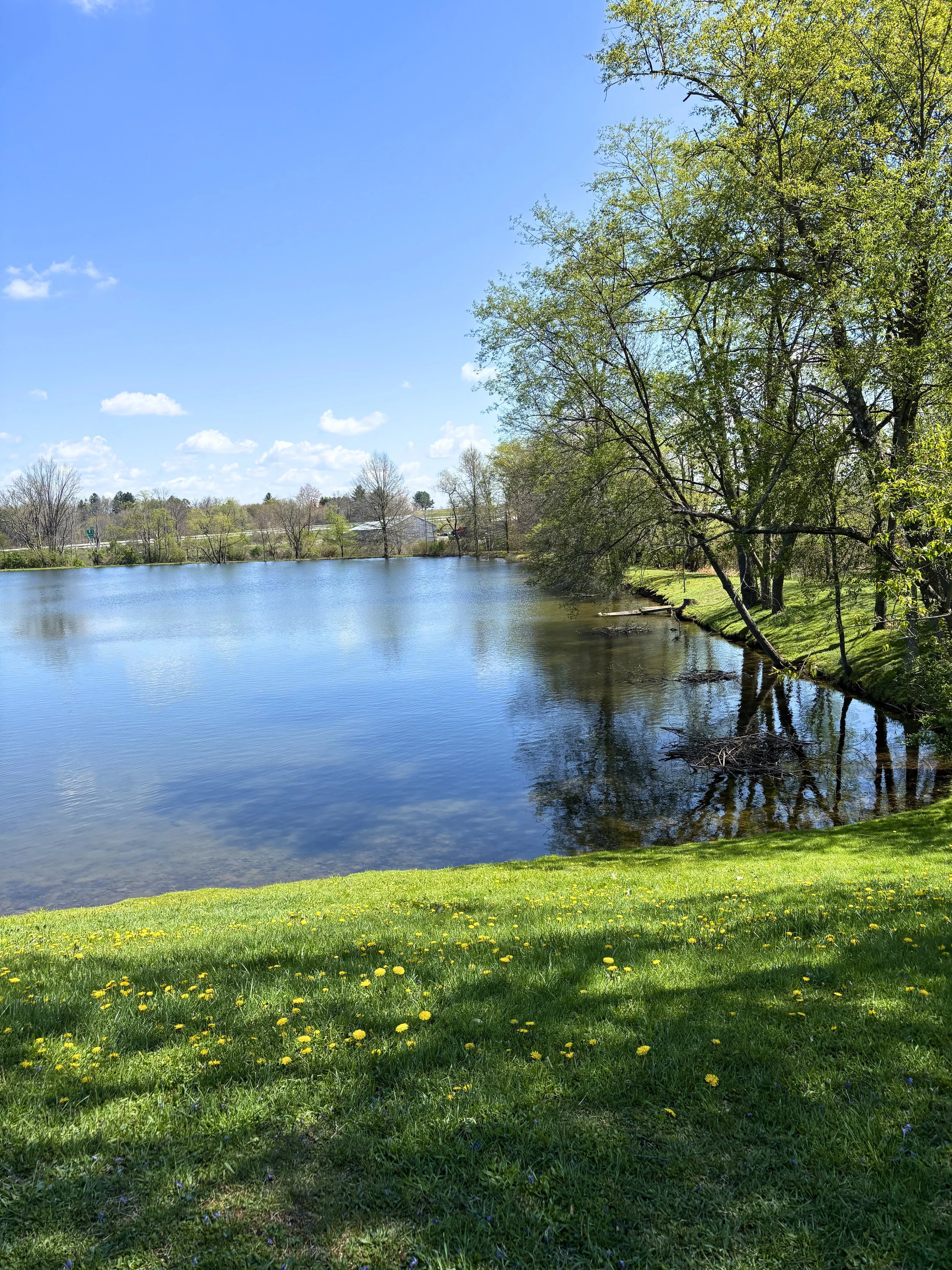 IMG_4644 - Edited.jpg