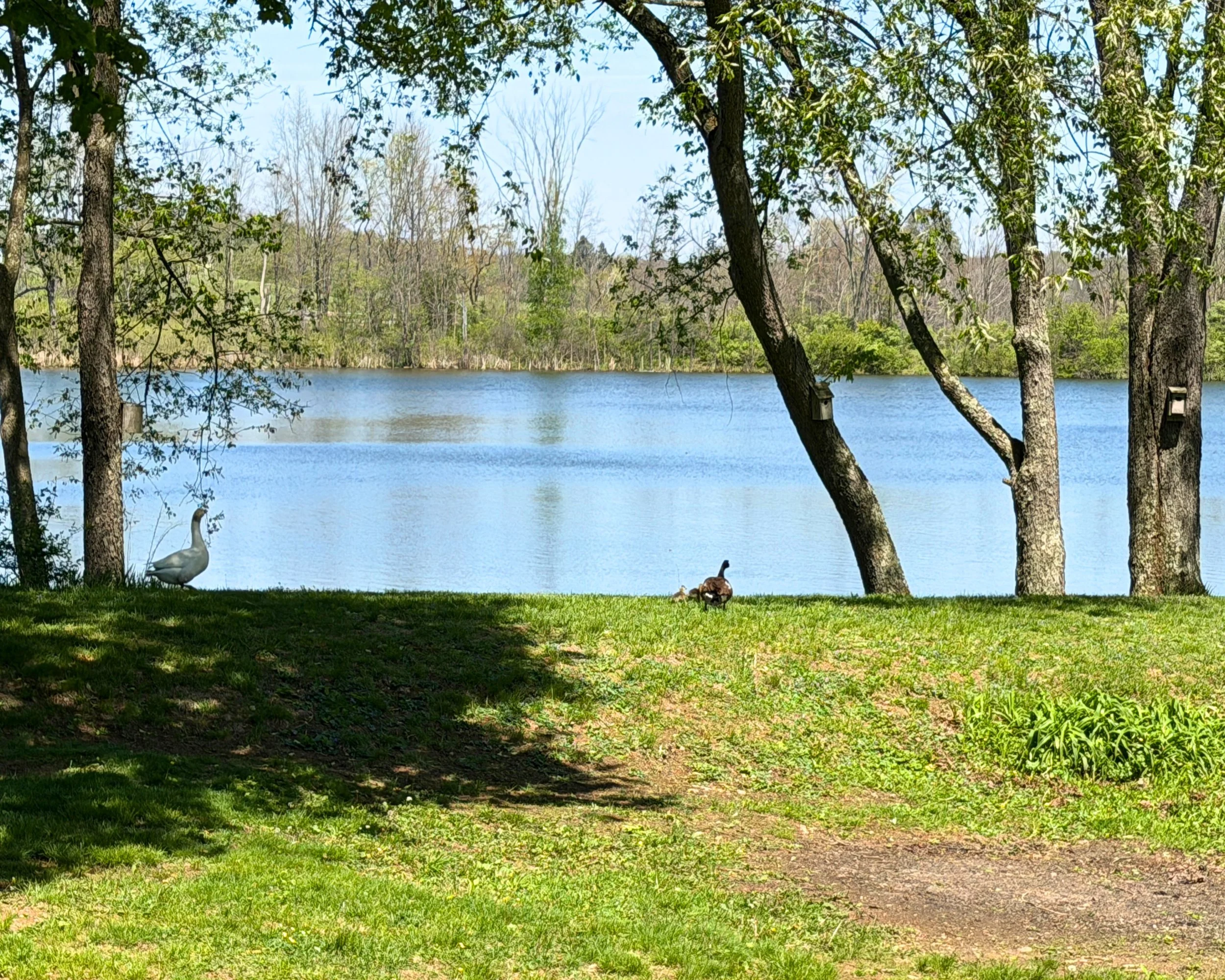 IMG_1167 - Edited.jpg