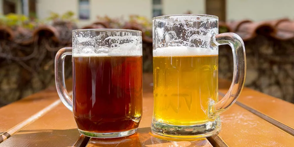ale-vs-lager.jpg