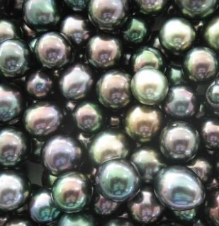 HONOLULU BIENNIAL - Join us on Sunday April 14th 1 - 2:30